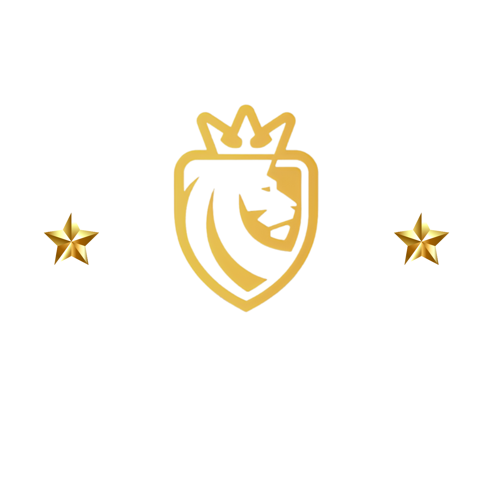 ACAN SECURITY SPA |  CURSOS